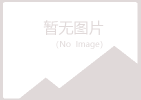 揭西县夏岚水泥有限公司